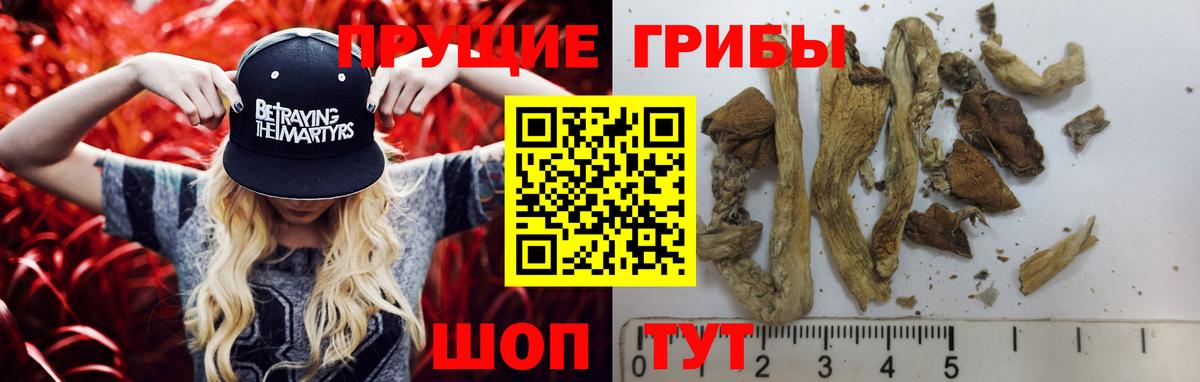 Псилоцибиновые грибы Magic Shrooms Донской